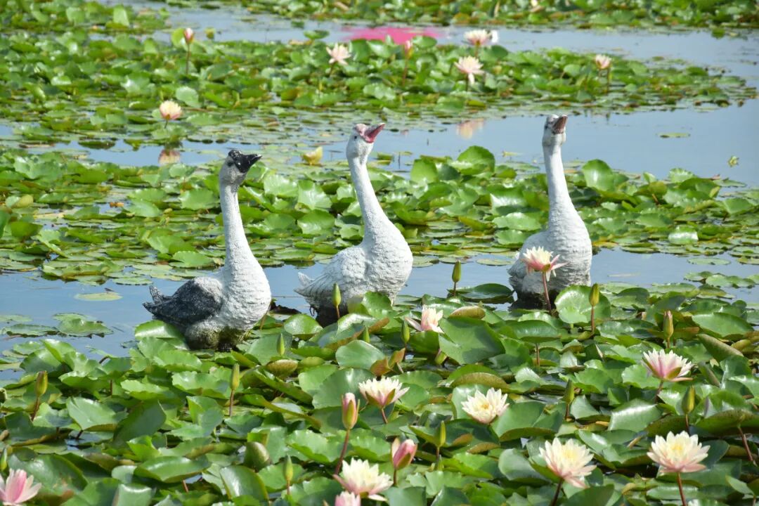 上海值得去的6个公园推荐！全部免费，好看又好玩！看看你都去过几个？