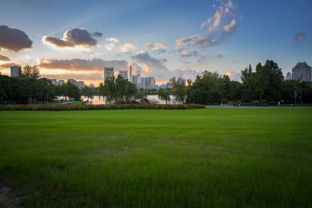 上海值得去的6个公园推荐！全部免费，好看又好玩！看看你都去过几个？