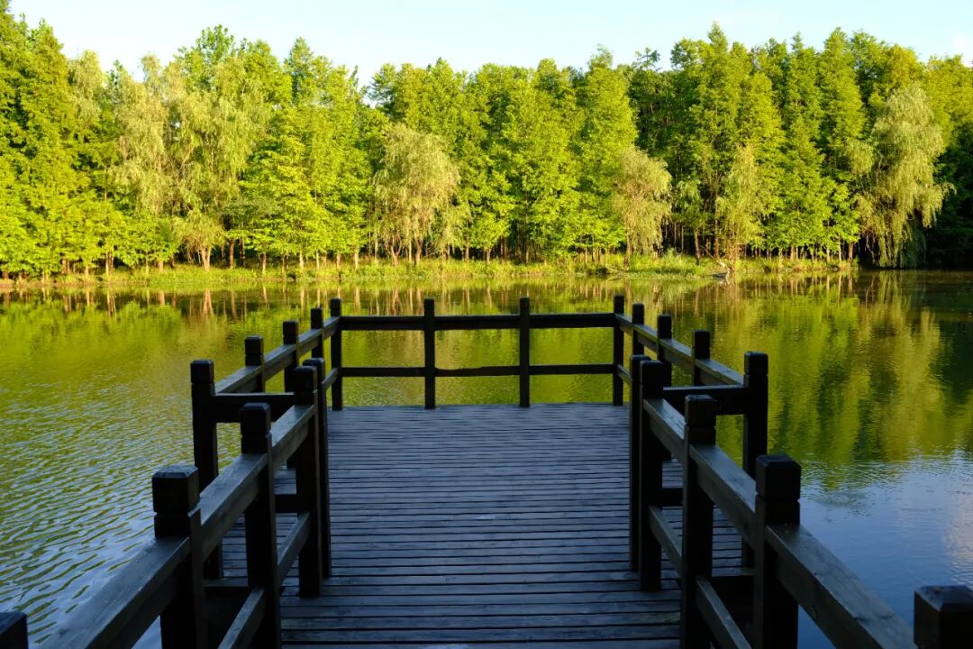 上海值得去的6个公园推荐！全部免费，好看又好玩！看看你都去过几个？