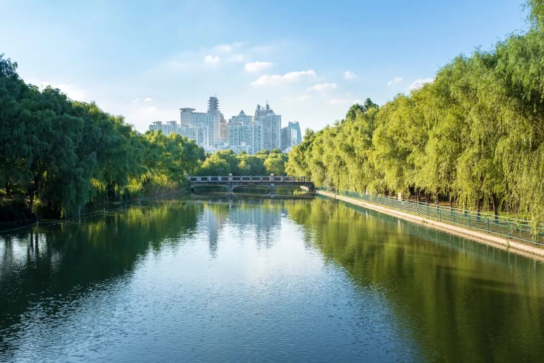 上海值得去的6个公园推荐！全部免费，好看又好玩！看看你都去过几个？
