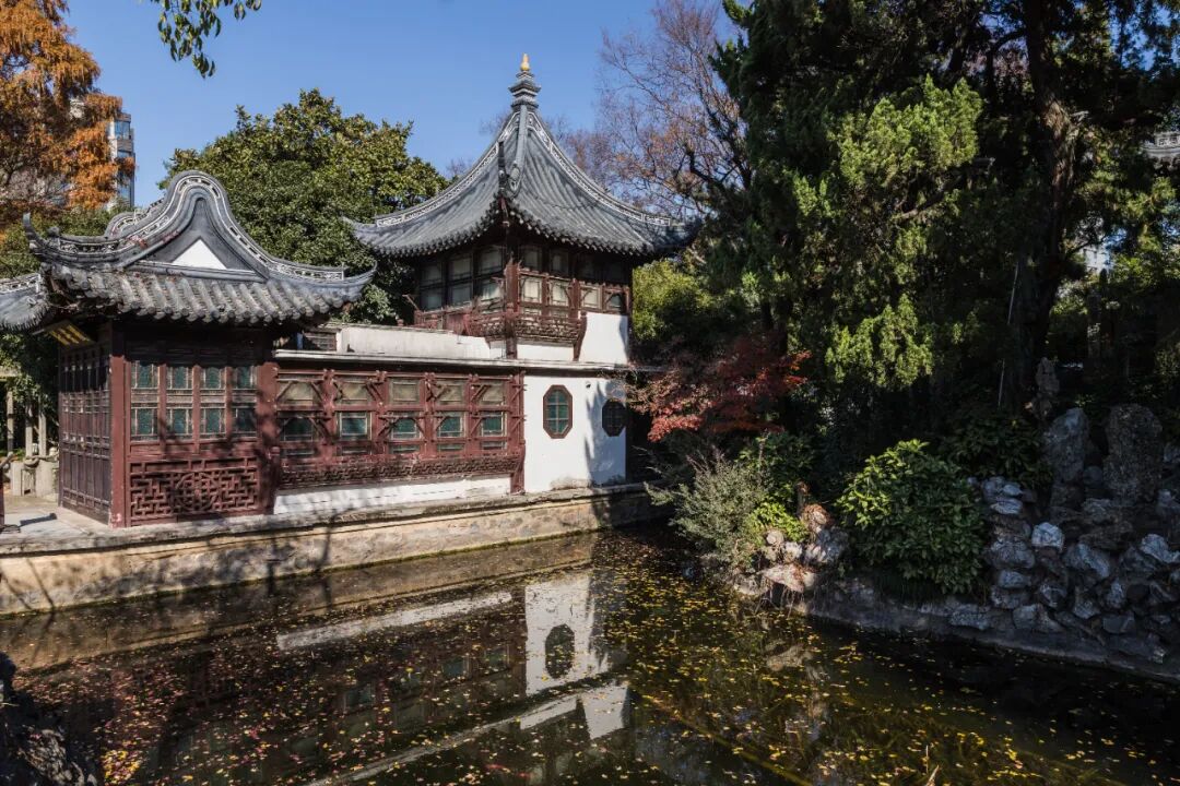 上海值得去的6个公园推荐！全部免费，好看又好玩！看看你都去过几个？