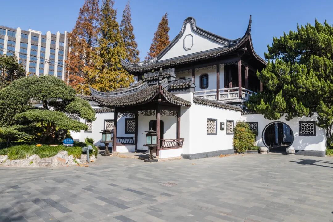 上海值得去的6个公园推荐！全部免费，好看又好玩！看看你都去过几个？