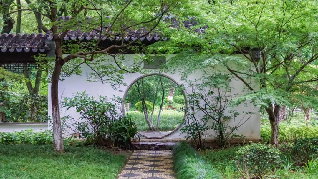 上海值得去的6个公园推荐！全部免费，好看又好玩！看看你都去过几个？