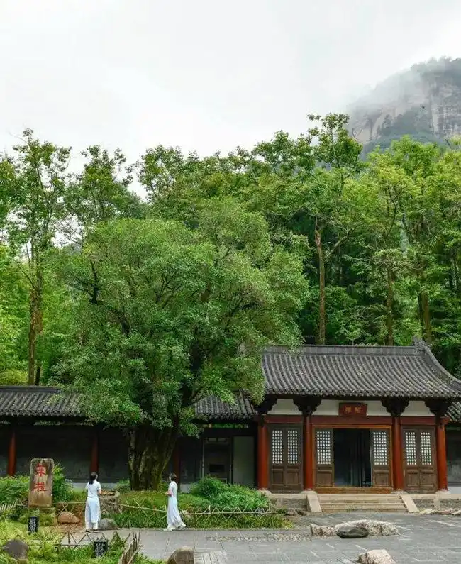 武夷山国家公园：世界“双遗” 万物和谐