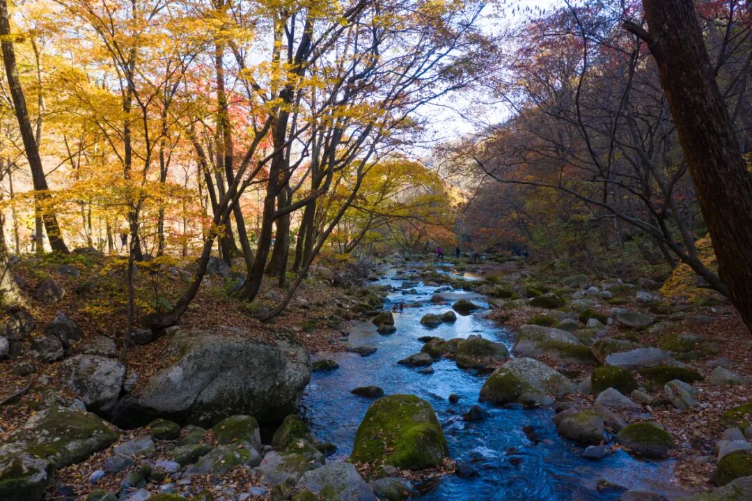 丹东有哪些好玩的地方？辽宁丹东10大好玩景点推荐，建议收藏！