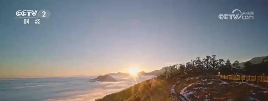 彩林温泉、观赛旅游、候鸟游客 热门新IP激活冬季文旅消费新“密码”