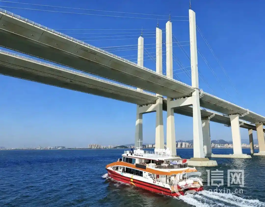 青岛“海上穿越大桥”航线火爆开航 预售两周销售额破百万