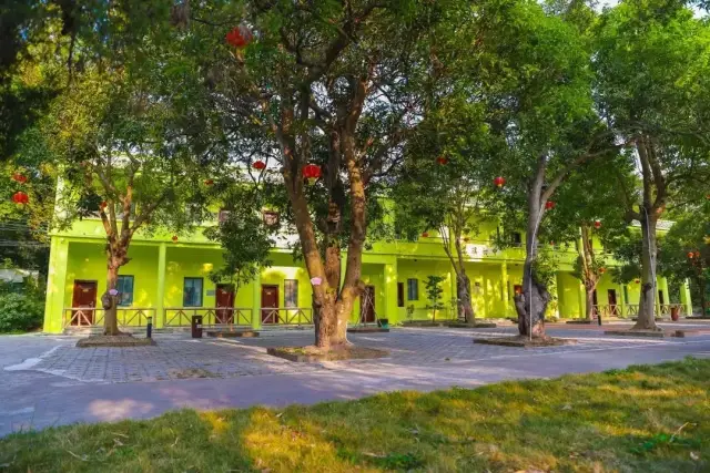 跟着全运游江门！酒店/民宿“宠粉”福利已就位，戳→