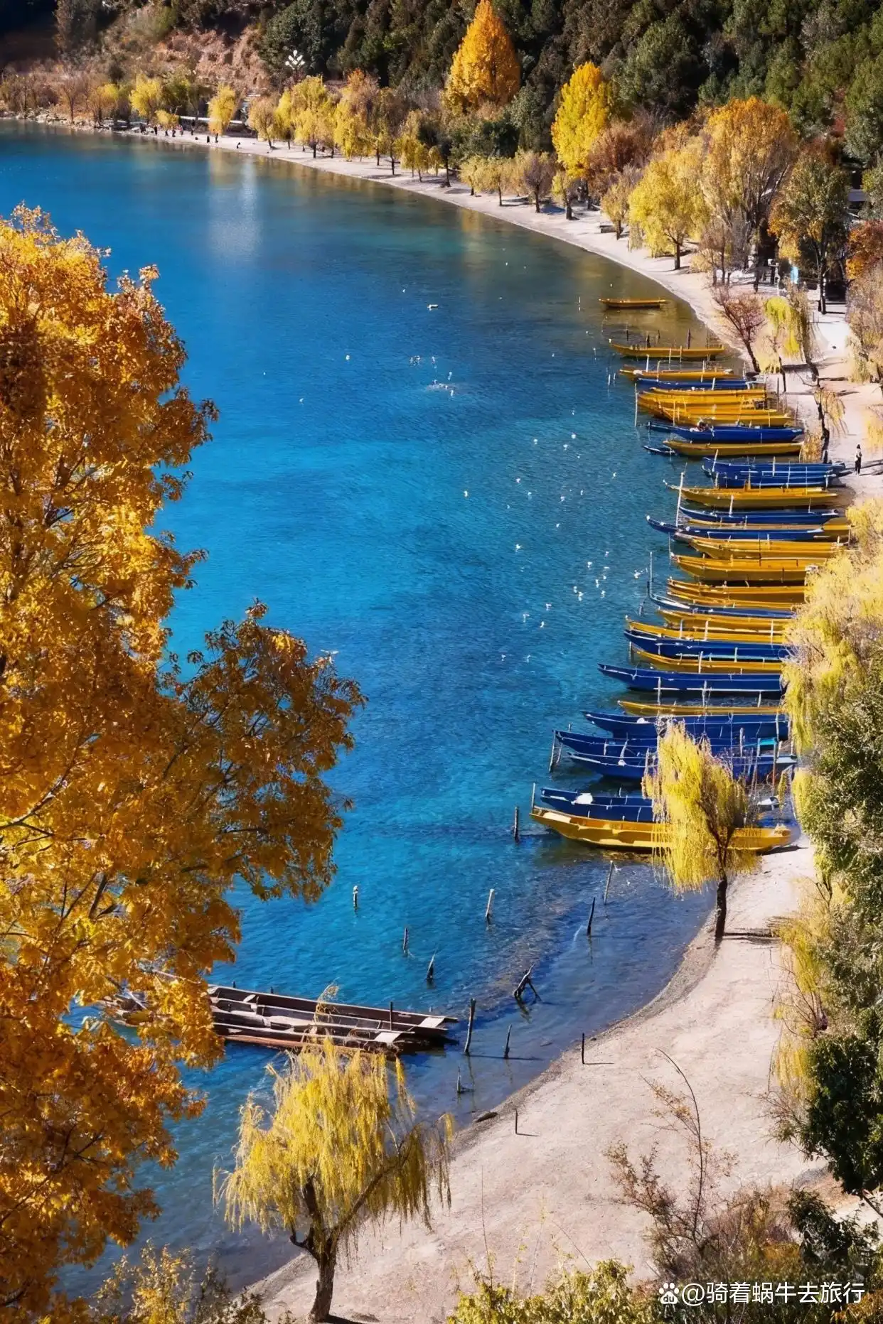 以为洱海已经够美了，直到我来到了泸沽湖！