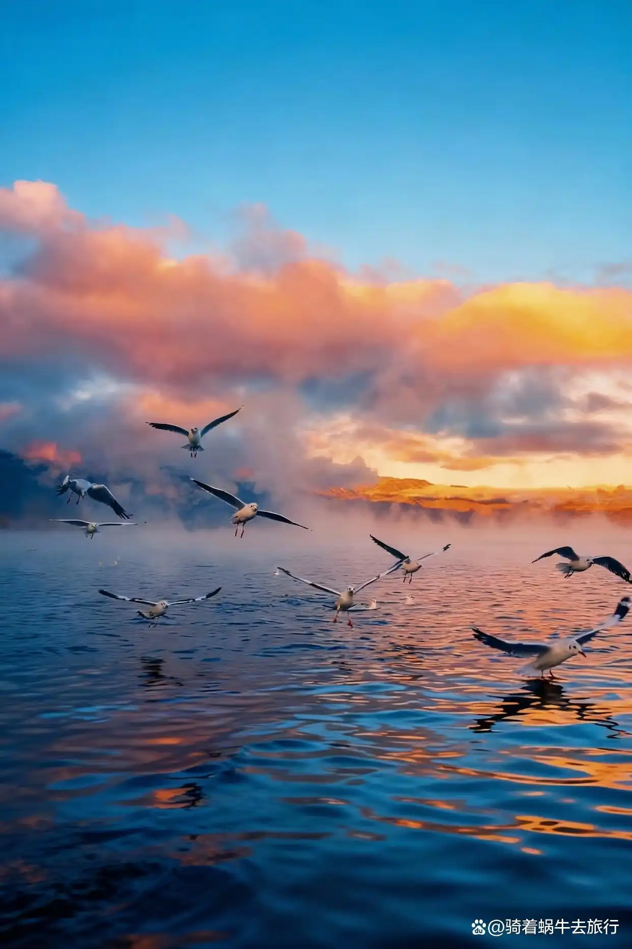 以为洱海已经够美了，直到我来到了泸沽湖！