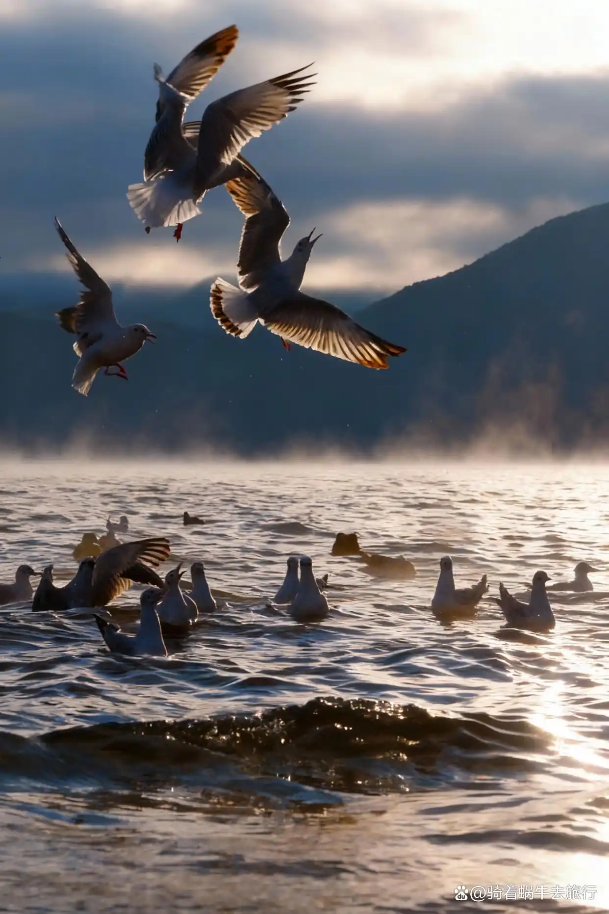以为洱海已经够美了，直到我来到了泸沽湖！