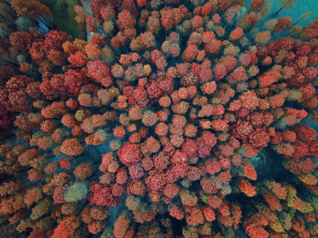 余姚10大好玩景点，宁波余姚值得一去的景点推荐，看看你去过几个？