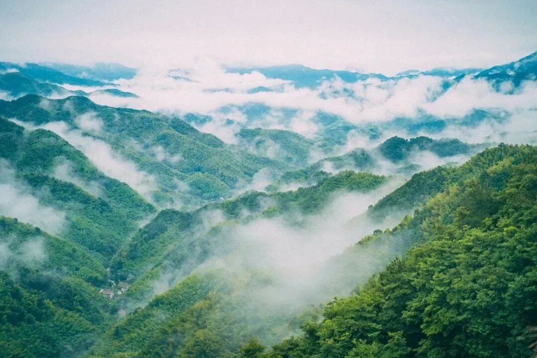 余姚10大好玩景点，宁波余姚值得一去的景点推荐，看看你去过几个？