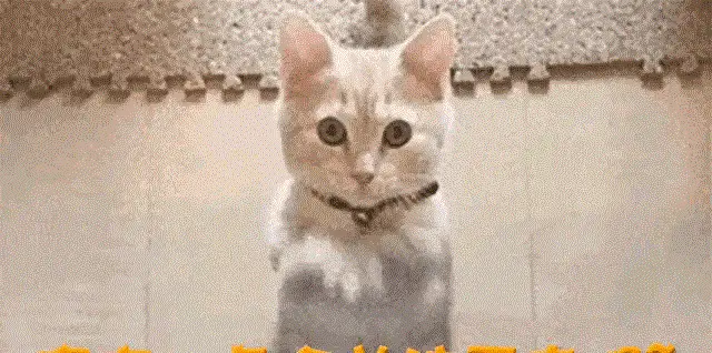 陪玩陪睡只是冰山一角，继王晶曝潜规则后，王家卫又被曝唐嫣遭殃