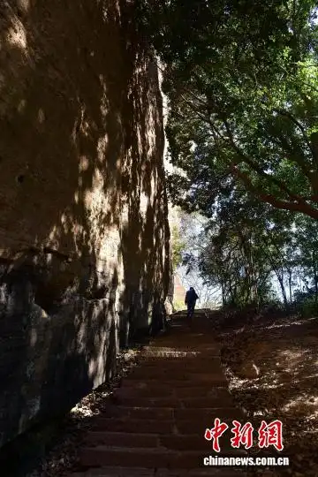 免门票政策持续发力 福建武夷山小众游受欢迎