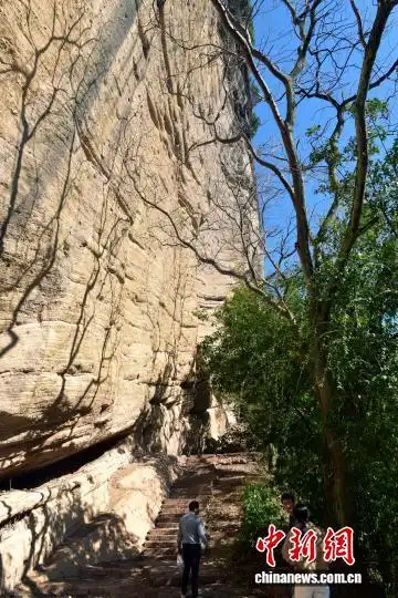 免门票政策持续发力 福建武夷山小众游受欢迎