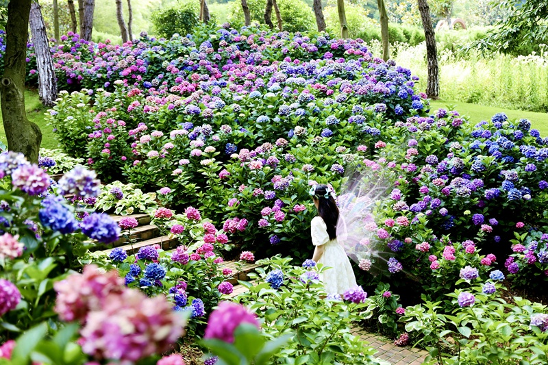 江蘇金壇茅山：創新驅動賦能文旅融合高質量發展