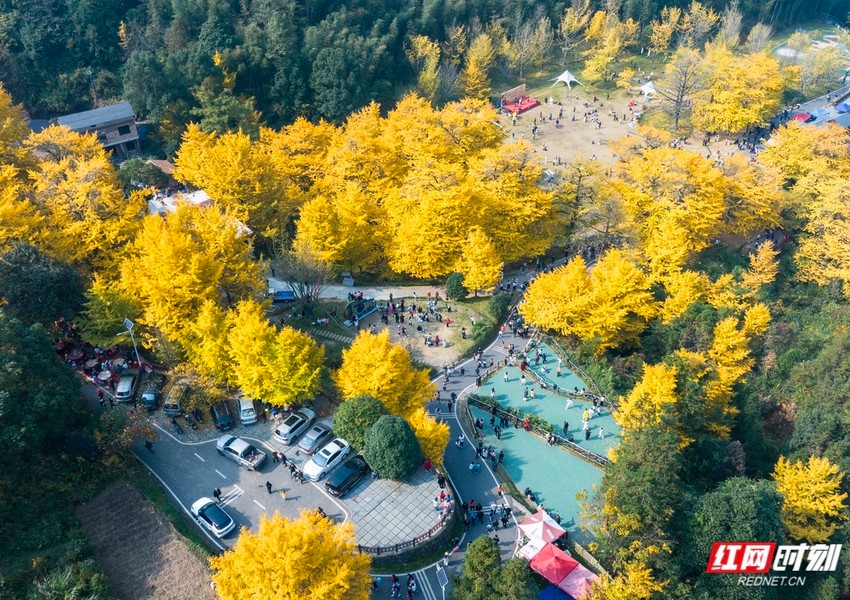 周末趣湖南丨别宅了！48小时“晴光”之旅就等你来