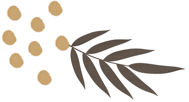 侨史一页丨相框里，藏着青田人120年前的“世界门票”