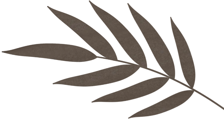 侨史一页丨相框里，藏着青田人120年前的“世界门票”