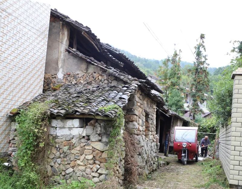侨史一页丨相框里，藏着青田人120年前的“世界门票”