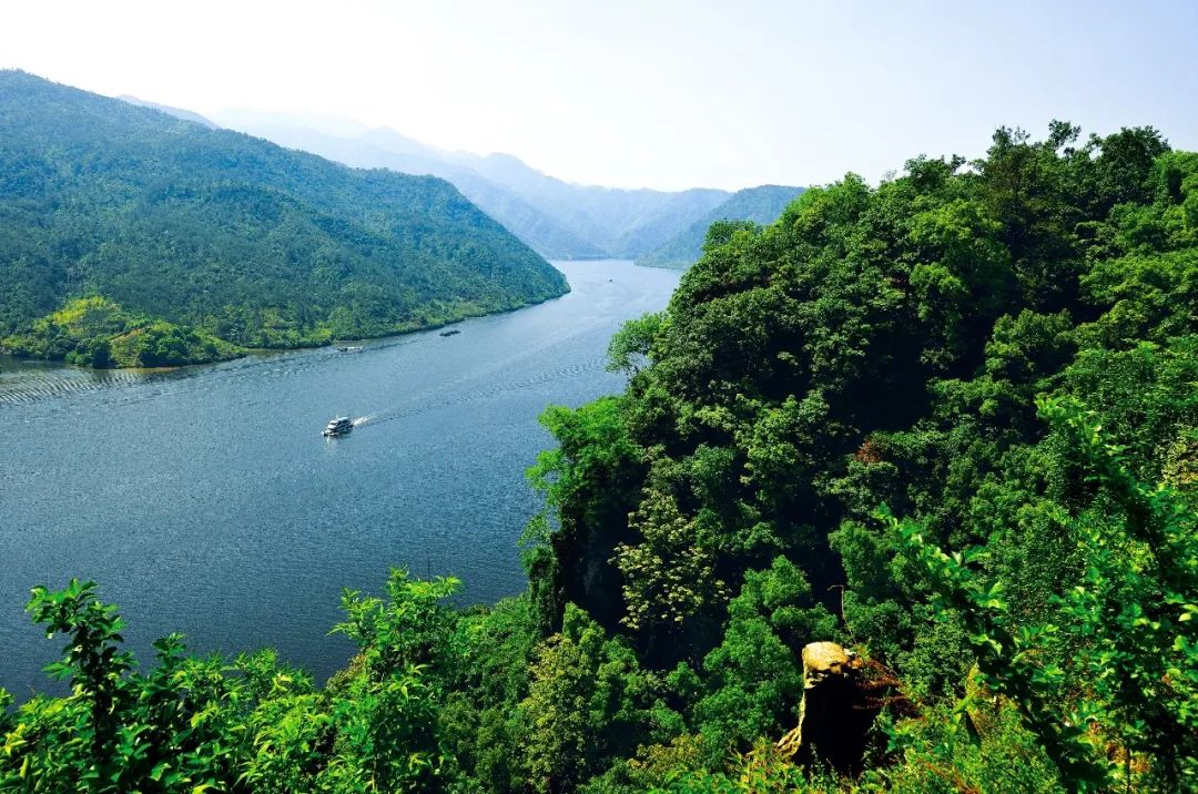 子弹时刻！这趟列车带你去往三座高铁新站