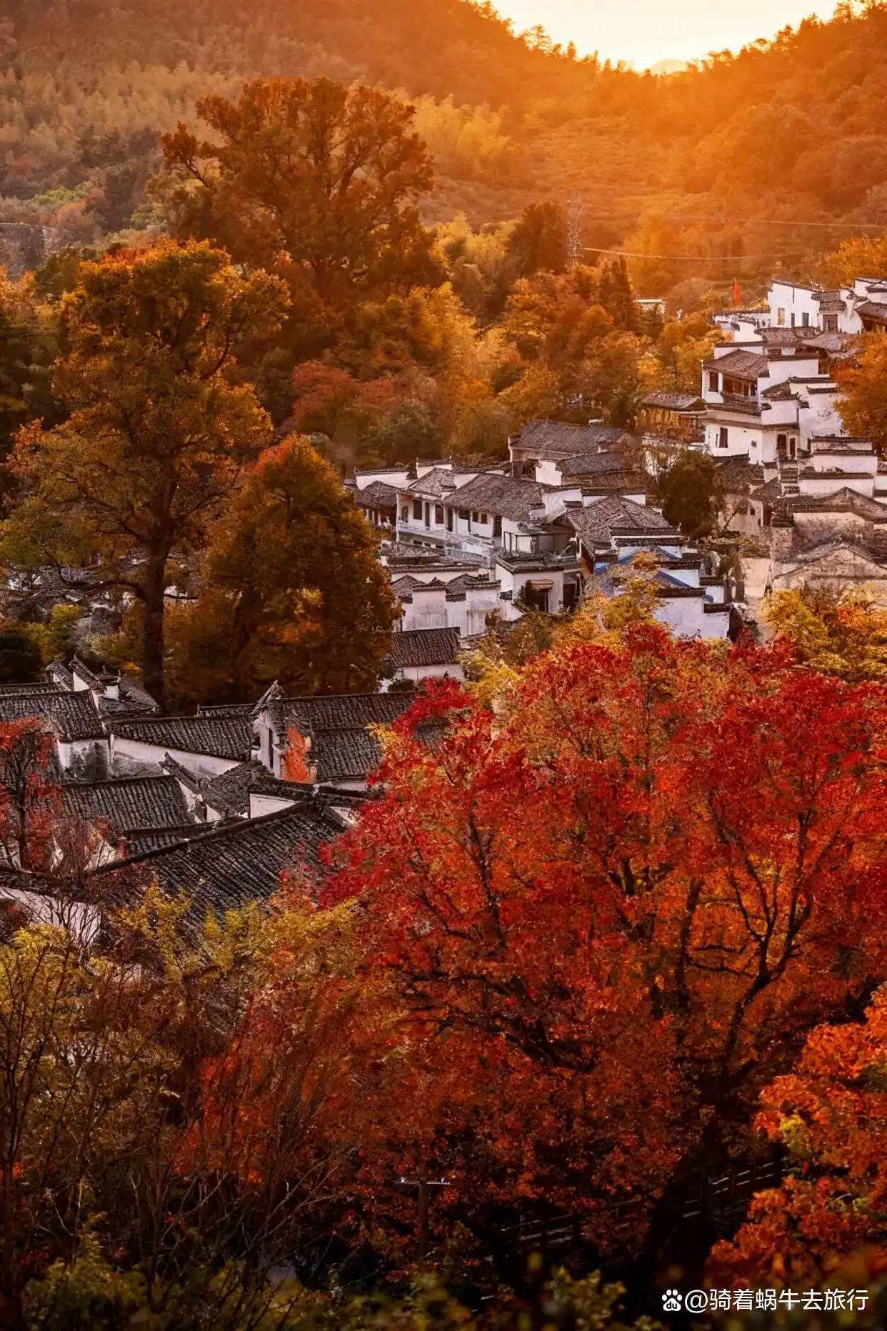答应我！这个深秋，一定要奔赴一场皖南的秋日之约～