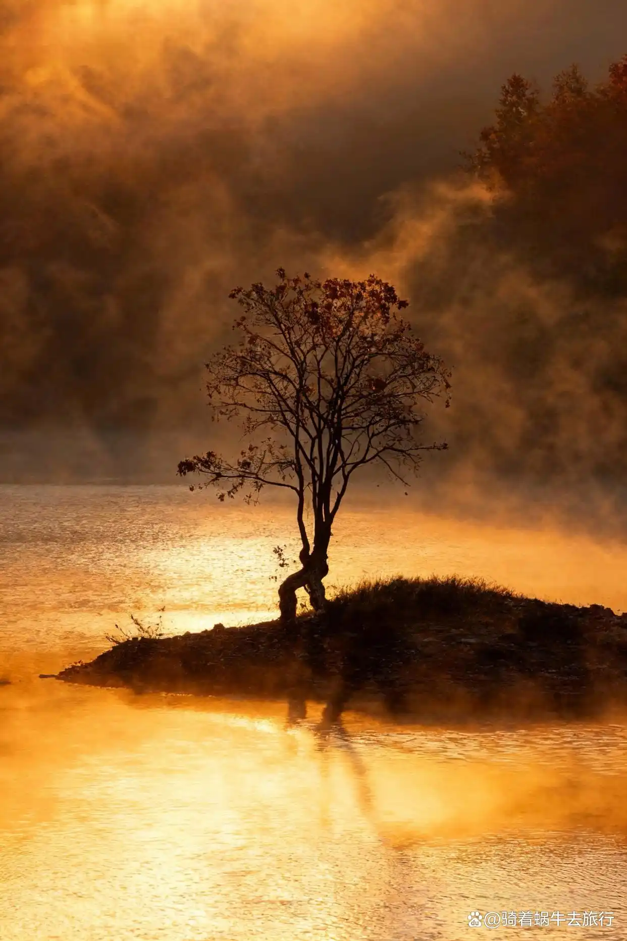 答应我！这个深秋，一定要奔赴一场皖南的秋日之约～