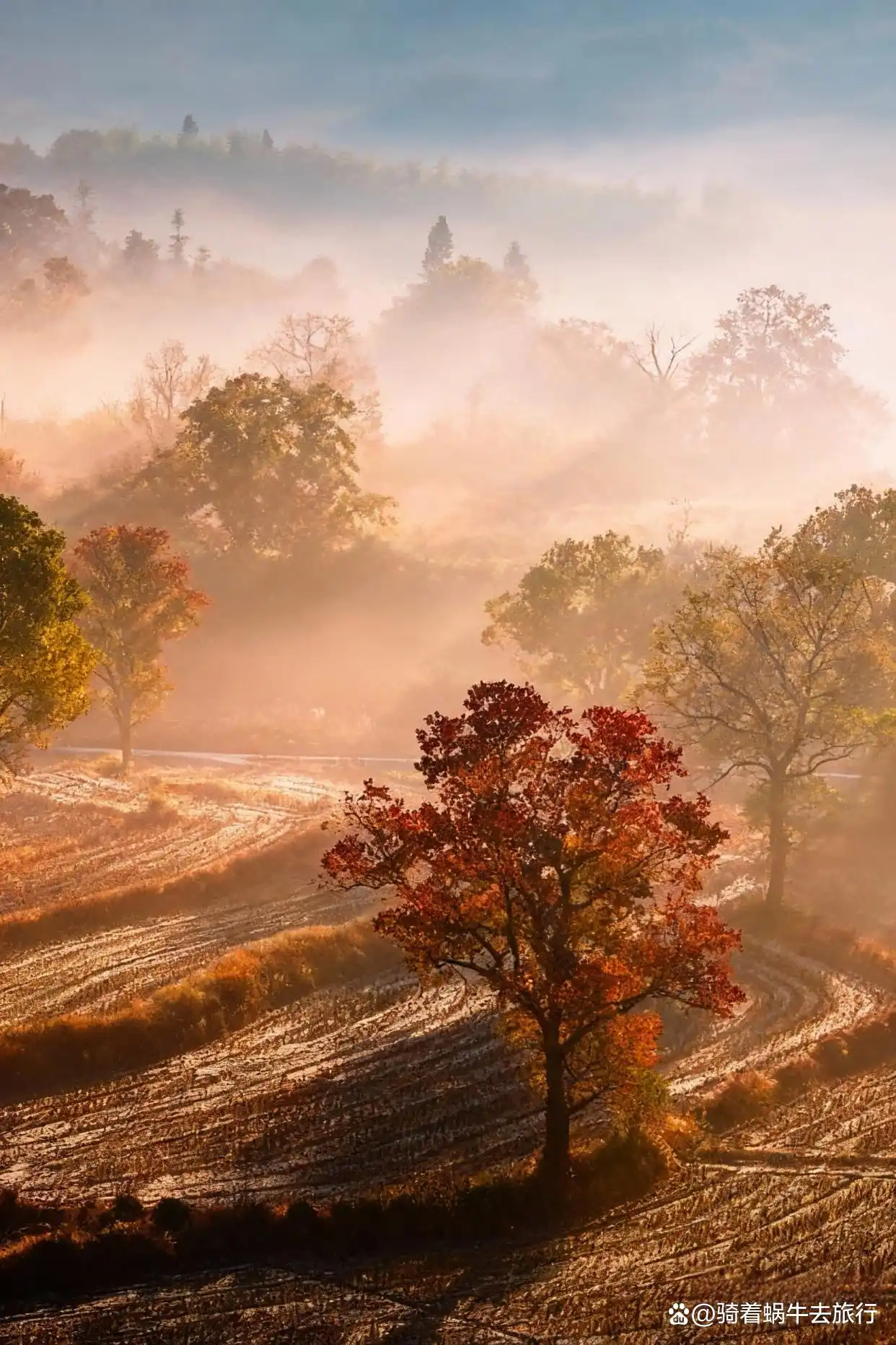 答应我！这个深秋，一定要奔赴一场皖南的秋日之约～