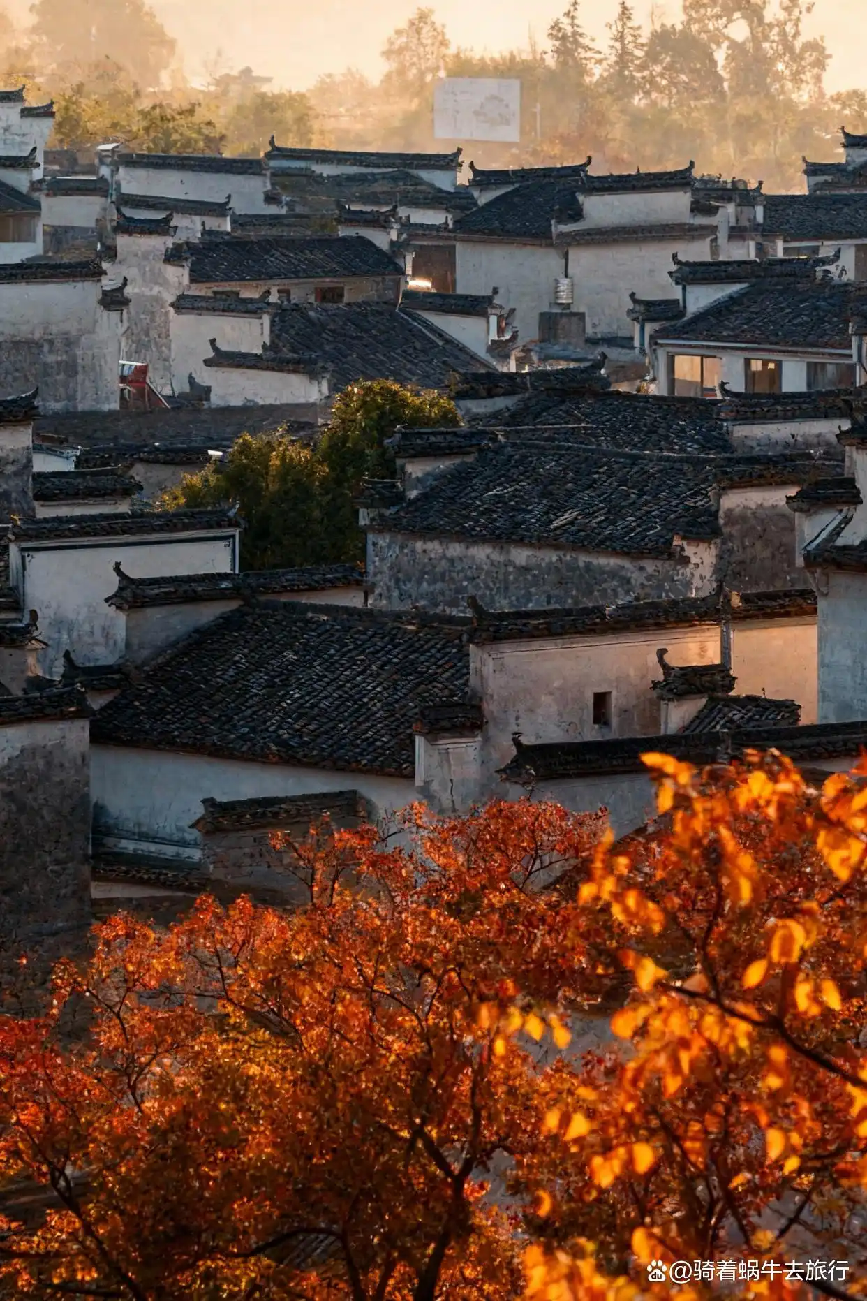 答应我！这个深秋，一定要奔赴一场皖南的秋日之约～