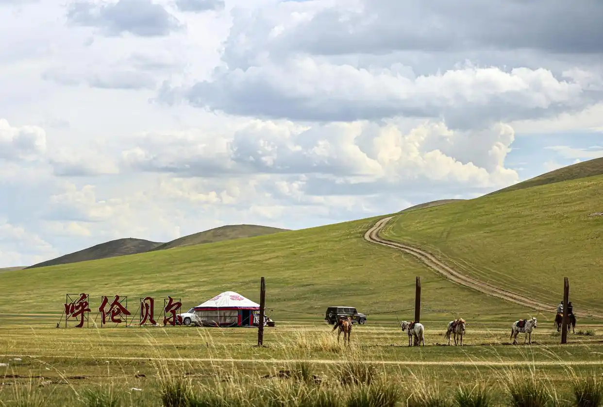 美丽中国丨呼伦贝尔大草原夏日即景