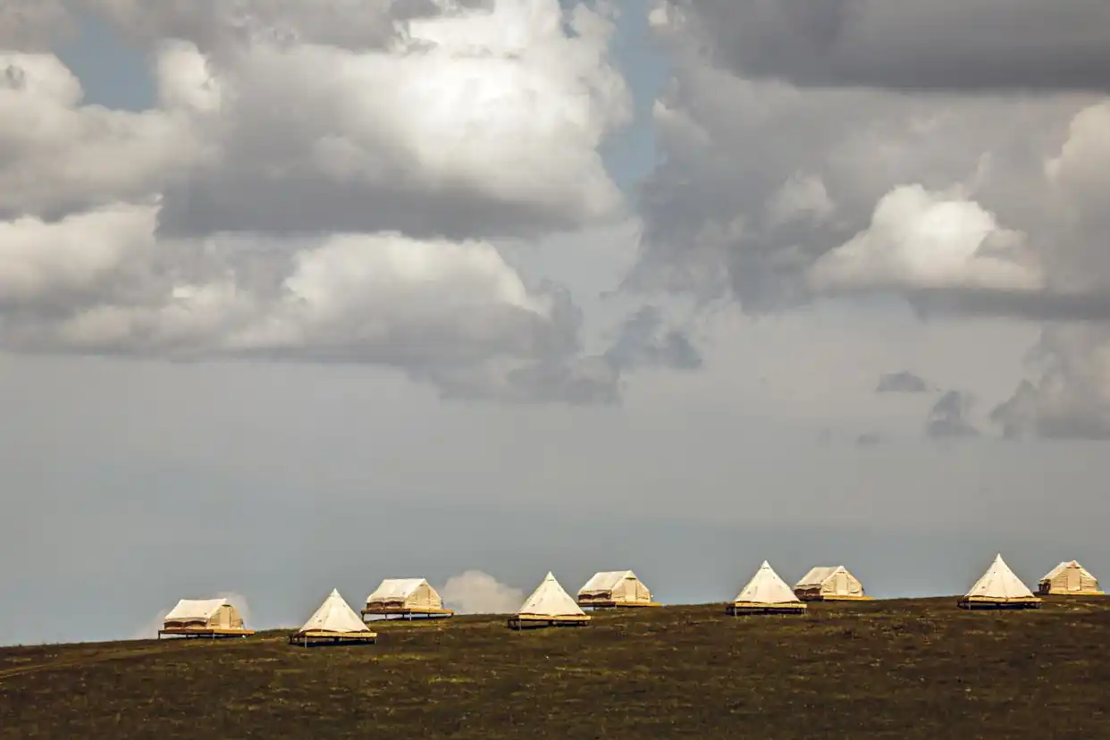 美丽中国丨呼伦贝尔大草原夏日即景