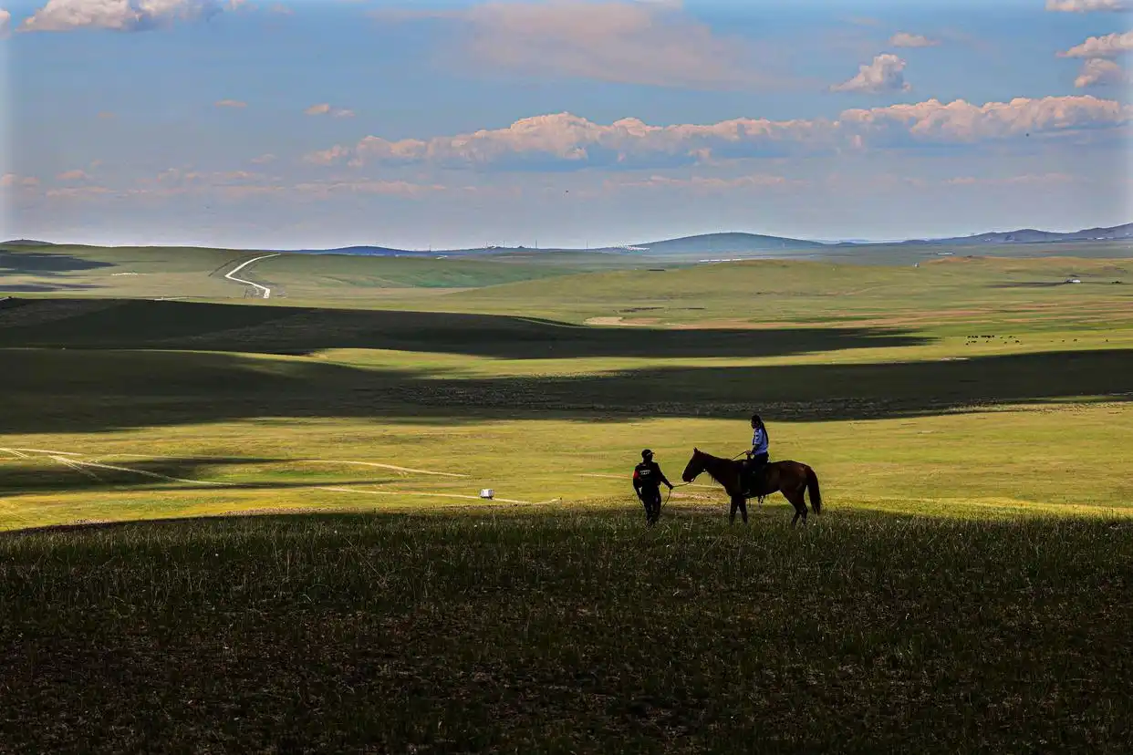 美丽中国丨呼伦贝尔大草原夏日即景