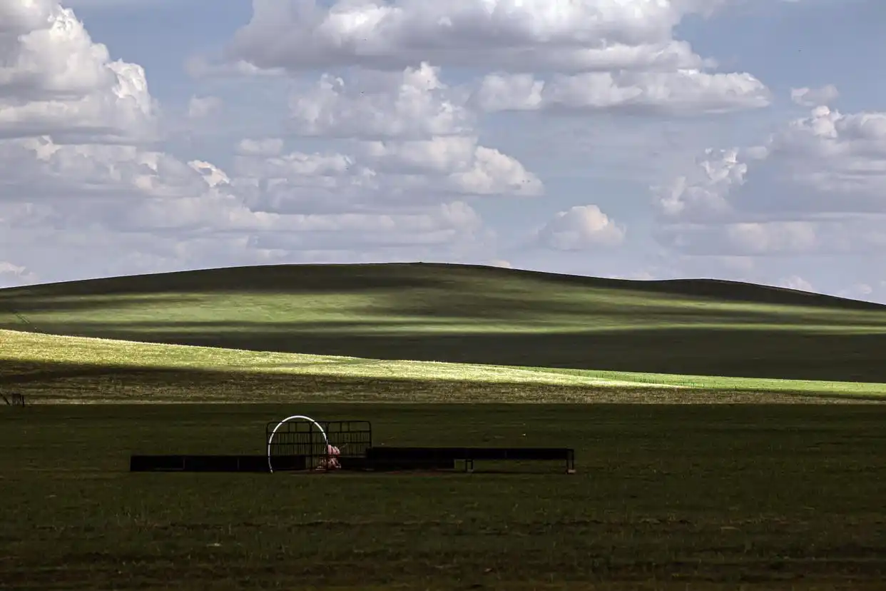 美丽中国丨呼伦贝尔大草原夏日即景