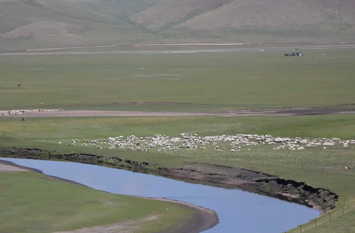 美丽中国丨呼伦贝尔大草原夏日即景