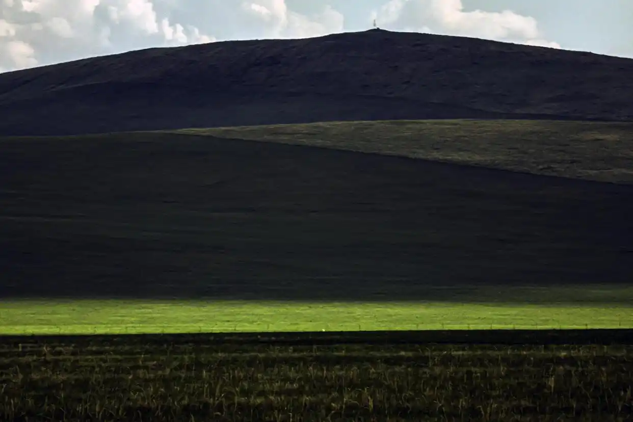美丽中国丨呼伦贝尔大草原夏日即景