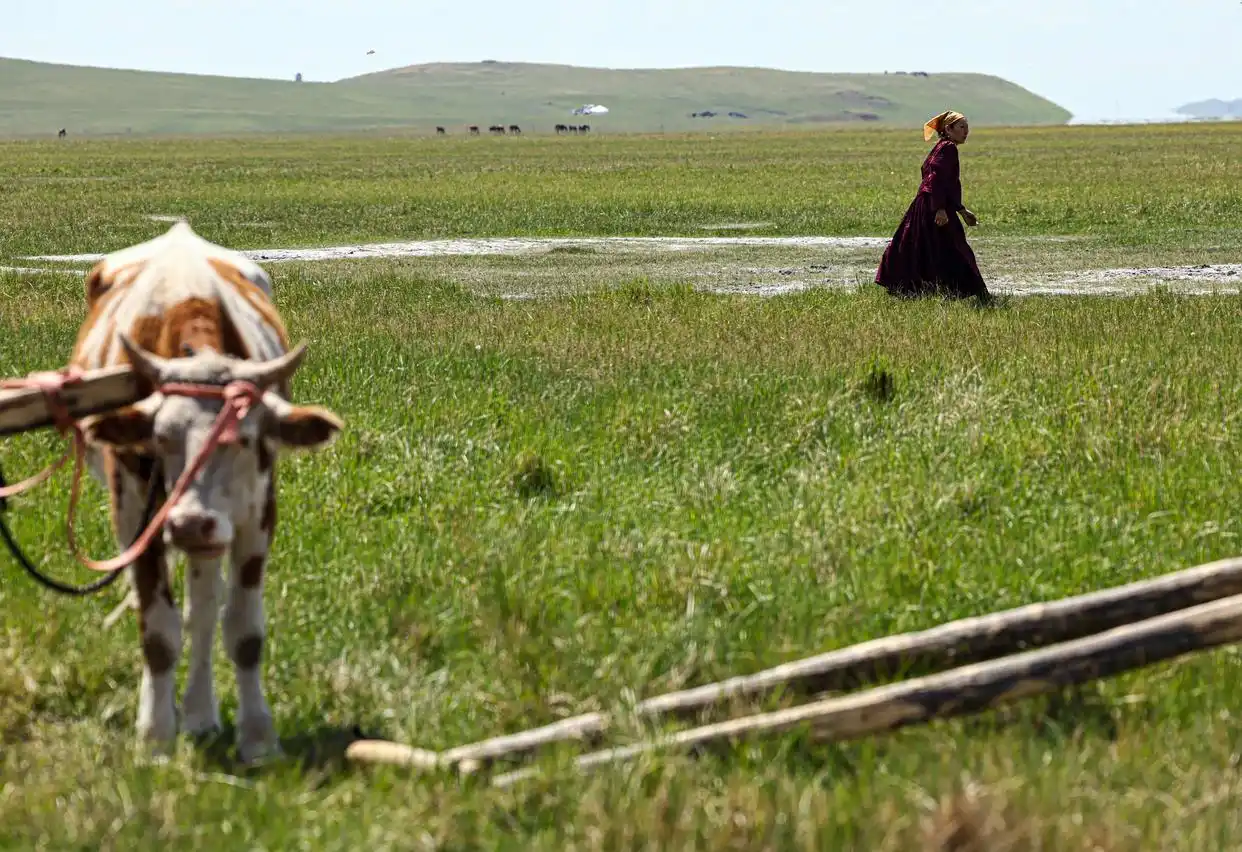 美丽中国丨呼伦贝尔大草原夏日即景