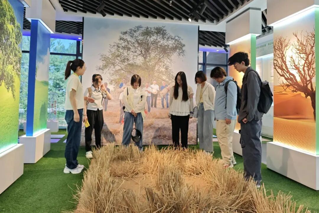 八步沙的绿与诗：藏在河西走廊的治愈之旅