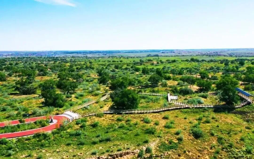 八步沙的绿与诗：藏在河西走廊的治愈之旅