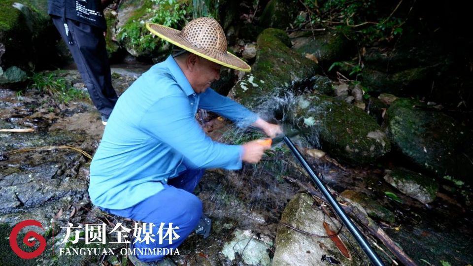 景区247家民宿和酒店，105家没有用水记录，数据异常背后隐藏着哪些秘密？