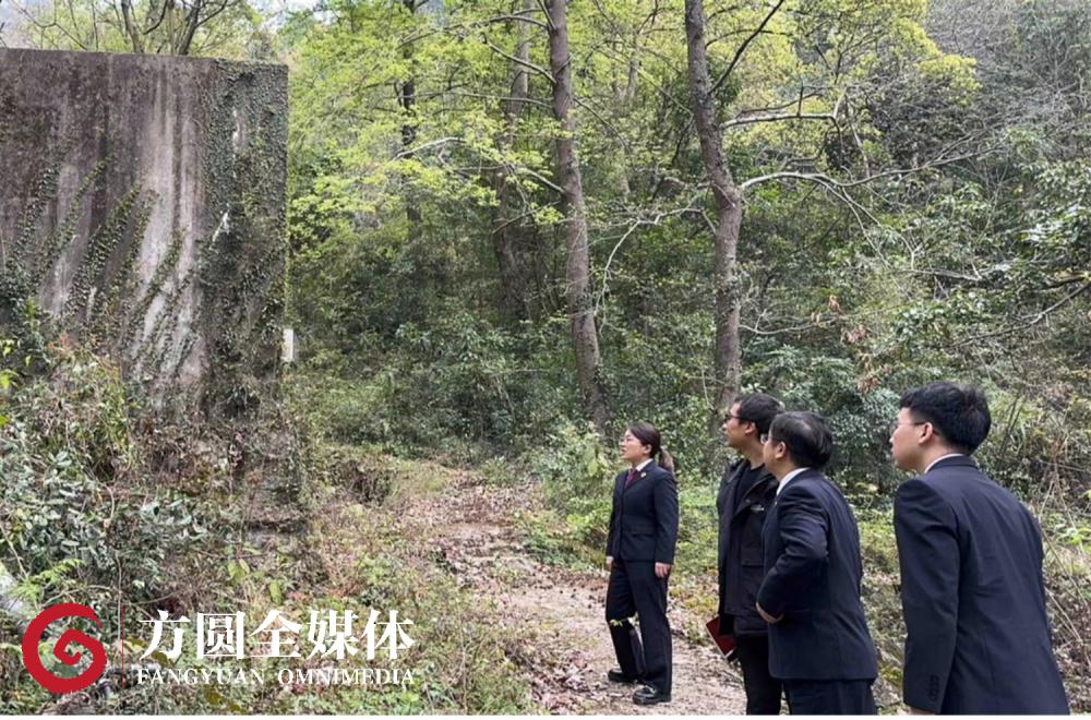 景区247家民宿和酒店，105家没有用水记录，数据异常背后隐藏着哪些秘密？