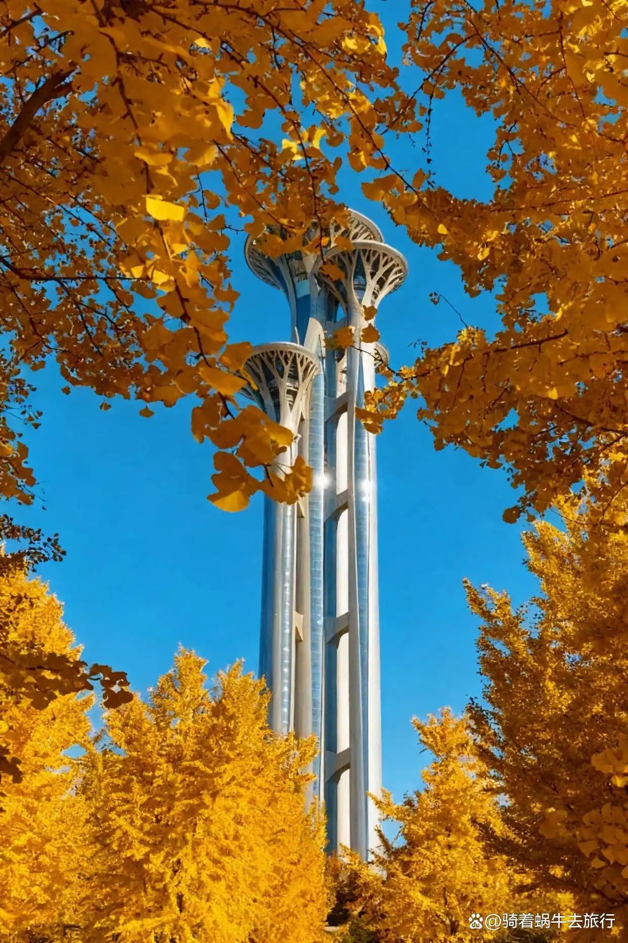 可惜你不来北京，不知北平之秋有多浪漫～