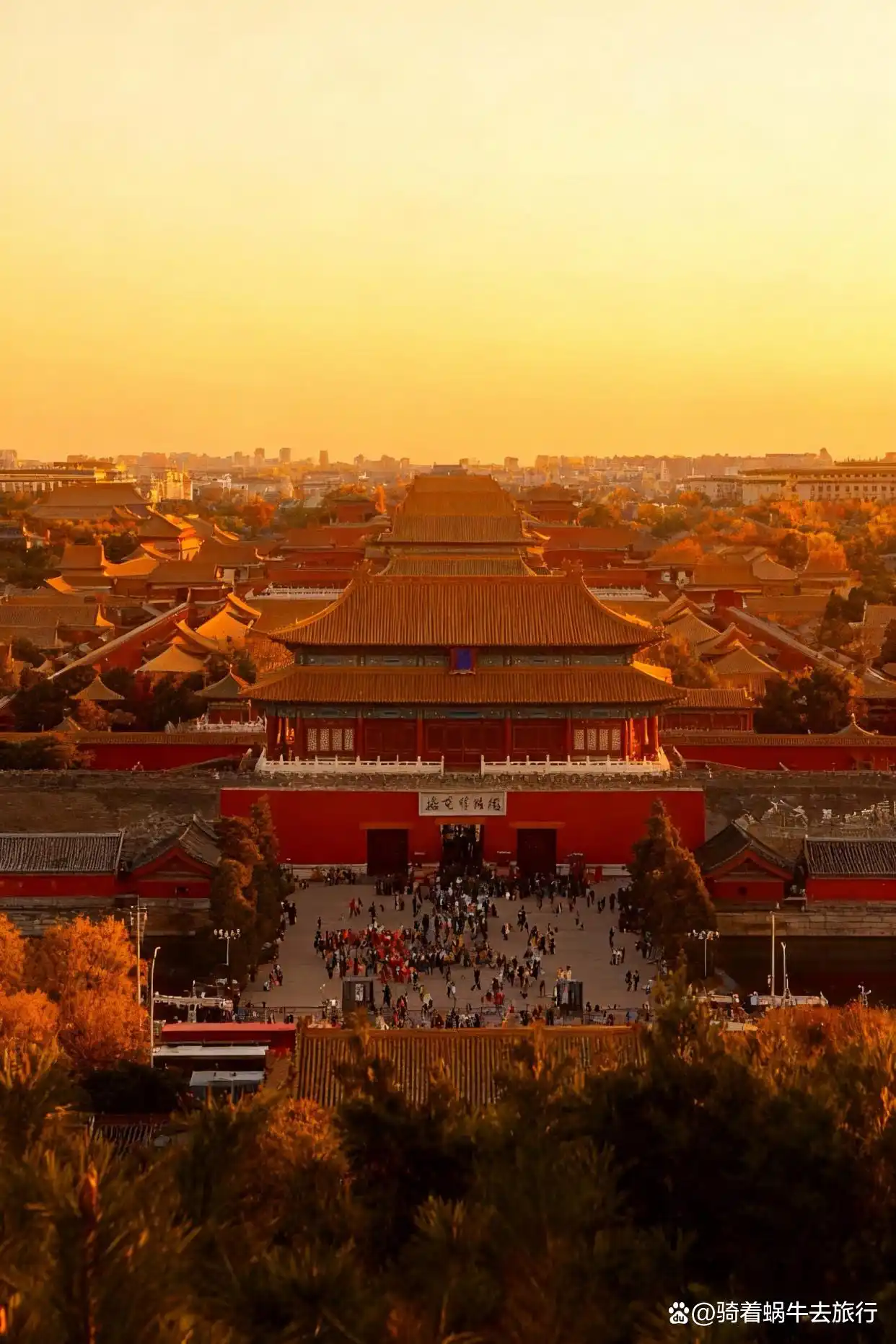 可惜你不来北京，不知北平之秋有多浪漫～