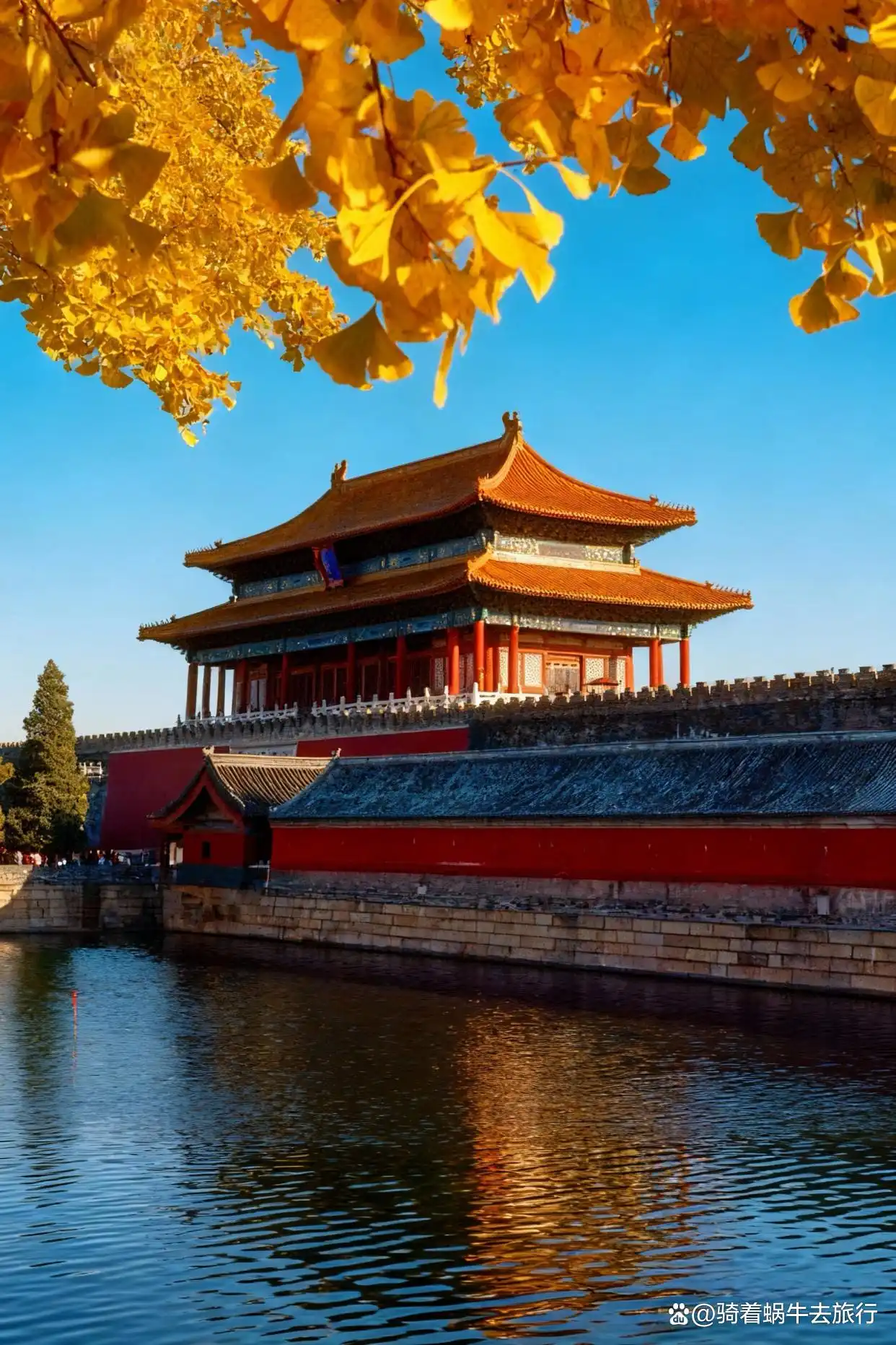 可惜你不来北京，不知北平之秋有多浪漫～