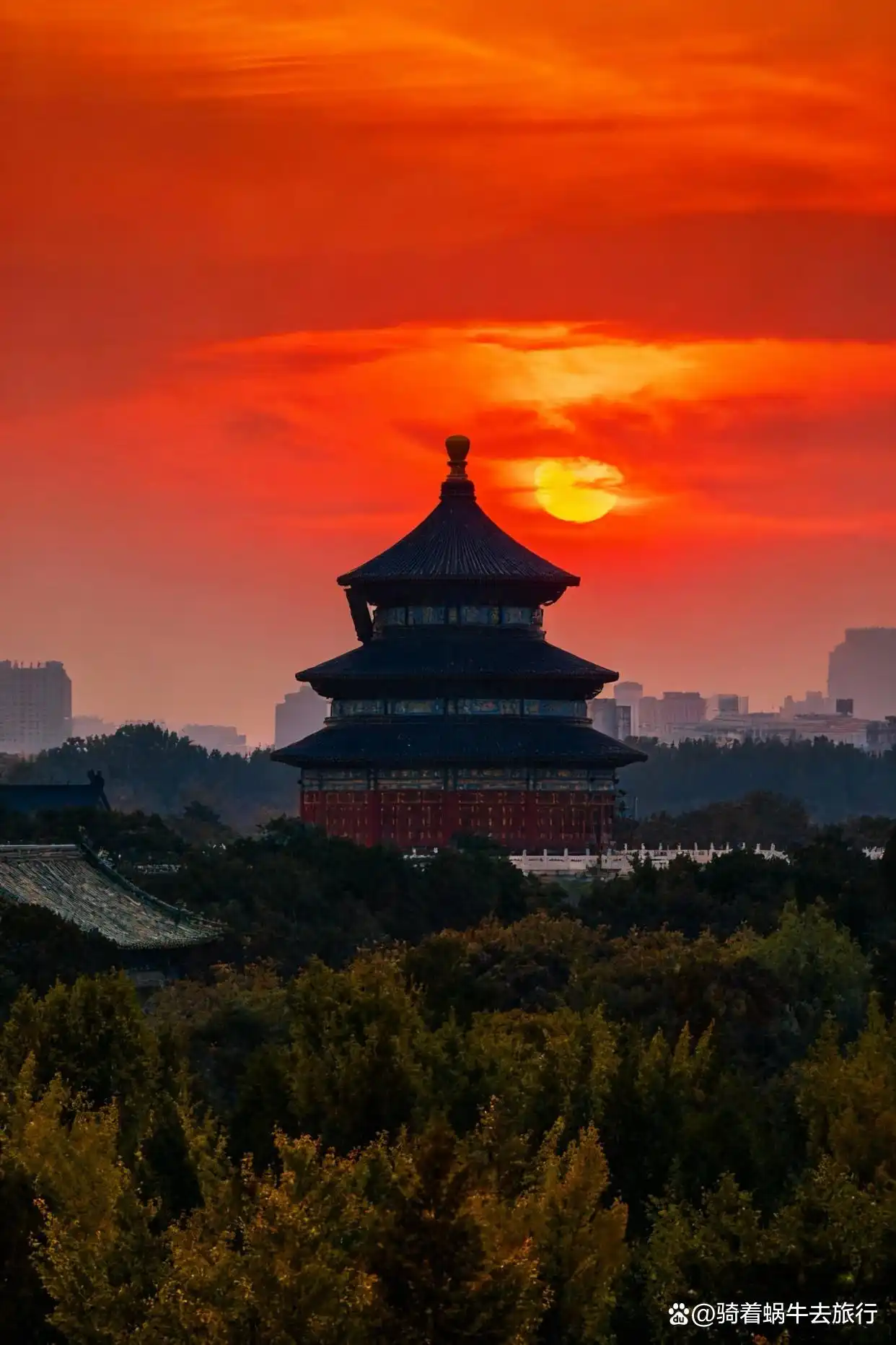 可惜你不来北京，不知北平之秋有多浪漫～