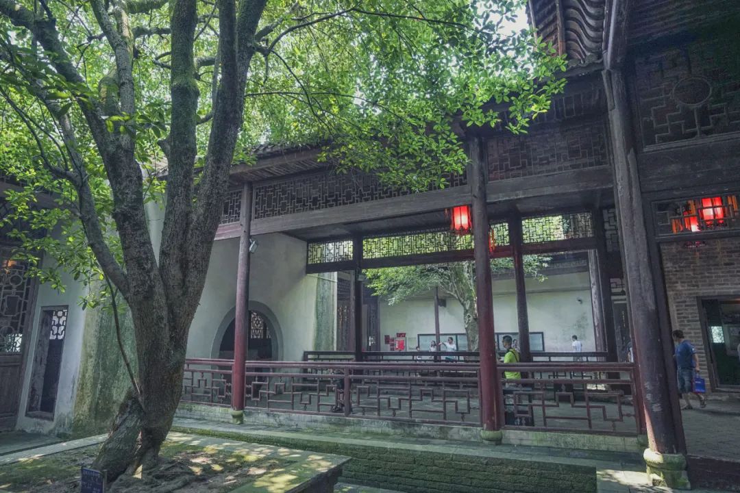 好玩不花钱，成都免费景点攻略来啦，这10个宝藏景点，0元打卡