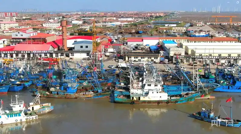 行进的海岸线丨渤海湾畔“渔旅融合” 小渔村启动蓝色新引擎