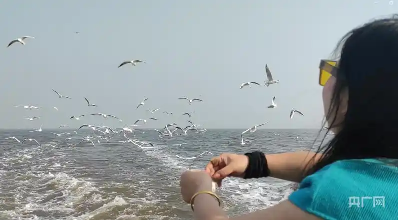 行进的海岸线丨渤海湾畔“渔旅融合” 小渔村启动蓝色新引擎