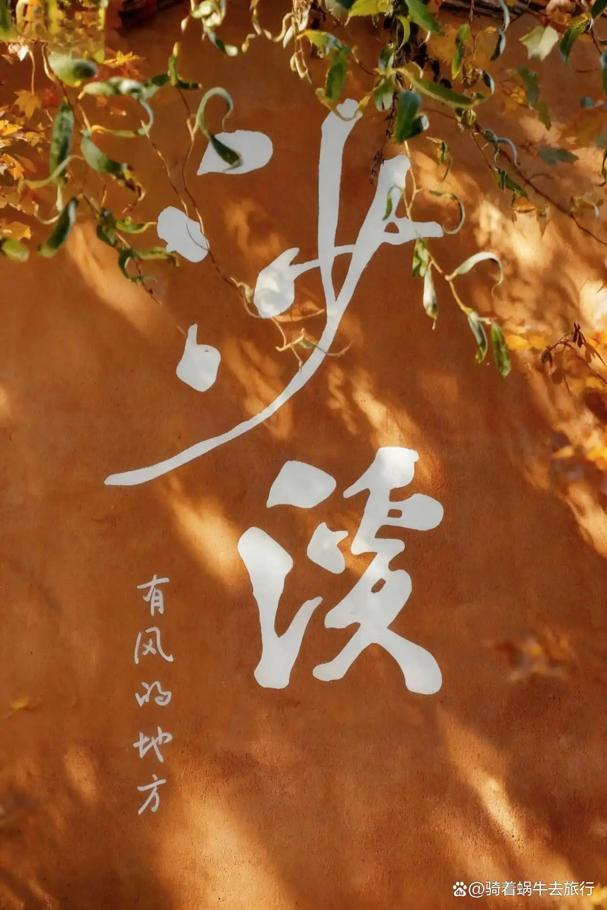 接下来的大理沙溪,是云南封神级的美景!