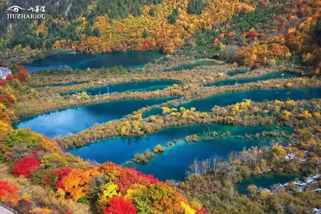 九寨沟门票连续5天售罄 在红叶彩林间遇见最美四川｜我心中的锦绣天府·安逸四川